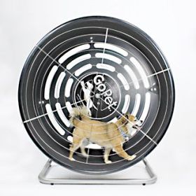GoPet TreadWheel for Small Dogs