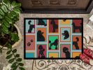 Lots of Black Standard Poodle Doormat Front Door Mat Indoor Outdoor Rugs for Entryway, Non Slip Washable Low Pile, 24H X 36W