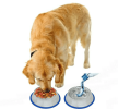 Stainless Steel Dog Bowls – Silicone Base (Set of 2)