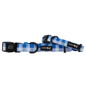 Sassy Woof Dog Collars (Color: The Wizard of Paws, size: Medium)