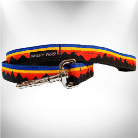 Polyester Dog Leash (Color: Mountain Blue, size: THIN 5/8" width- 5' long)