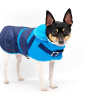 Equestrian Style Winter Dog Coat