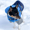 Equestrian Style Winter Dog Coat