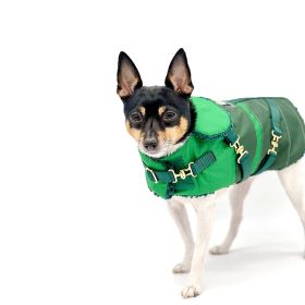 Equestrian Style Winter Dog Coat (Color: Green, size: MD)