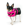 Equestrian Style Winter Dog Coat