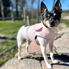 DCNY Harness Vest (Color: Blush Pink)