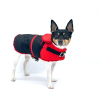 Equestrian Style Winter Dog Coat