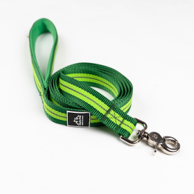 Appalachian Flat Dog Leash (Color: Kiwi Green Flat, size: Small 5/8in. wide by 6ft. long)