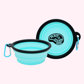 Collapsible Dog Bowl (Color: Aqua, Phrase: "Place Steak Here")