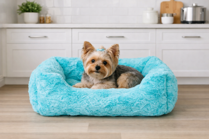 Cuddle Dog Bed – Hello Doggie Collection (Color: Turquoise‑blue)