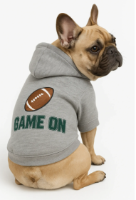Athletic Dog Hoodie - Game On 🏈 (size: XL)