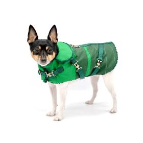 Equestrian Style Winter Dog Coat (Color: Green, size: [S])