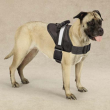 Guardian Gear Excursion Harnesses (size: 36-46 inch)