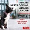 Ultra Soft Rolled Leather Dog Collar, Soft Padded Dog Collars for Small Medium Dogs, Male and Female Dog Collar