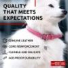 Ultra Soft Rolled Leather Dog Collar, Soft Padded Dog Collars for Small Medium Dogs, Male and Female Dog Collar