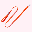 Silicone Dog Leash - 3ft. (Color: Orange, Phrase: "Warning: Sloppy Kisser")