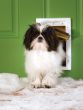 PetSafe Extreme Weather Plastic Frame Dog Door (size: SMALL)