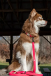 Winter's Orchid Oasis Collection Waterproof Dog Leash (Color: Red Mountain Syrah)