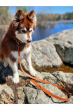 Parenting Vegan Leather Dog Leash (Color: Sierra Sunrise)