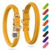 Ultra Soft Rolled Leather Dog Collar, Soft Padded Dog Collars for Small Medium Dogs, Male and Female Dog Collar