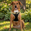 Polka Dot Choke‑Free Dog Harness – Step‑In Style
