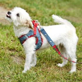 Step-In Denim Dog Harness - Red Plaid (Color: Red Plaid, size: Large)