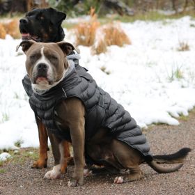 Alpine Extreme Cold Puffer Coat (Color: Black, size: 2X-Large)