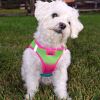 American River, Choke Free Dog Harness