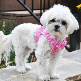 American River, Choke Free Dog Harness (Color: Pink Polka Dot Ruffle, size: 2X-Large)