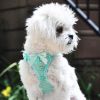 American River, Choke Free Dog Harness