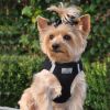 American River, Choke Free Dog Harness