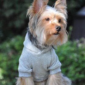 Flex-Fit Hoodie (Color: gray, size: X-Large)