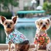 Hawaiian Camp Shirt - Multiple Designs