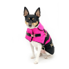 Equestrian Winter Dog Coat