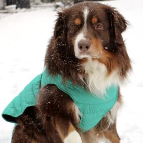 Alpine Extreme Cold Puffer Coat (Color: Arcadia, size: Large)