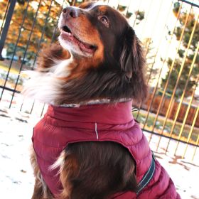 Alpine Extreme Cold Puffer Coat (Color: Burgundy, size: Large)