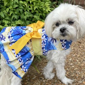 Catching Waves Harness Dress with Matching Leash (size: Large)
