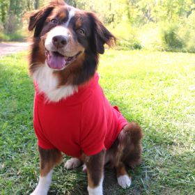 Flex-Fit Hoodie (Color: RED, size: Large)