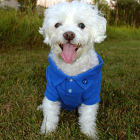 Polos Solid (Color: Nautical Blue, size: Large)