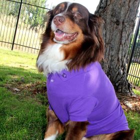 Polos Solid (Color: Ultra Violet, size: Large)