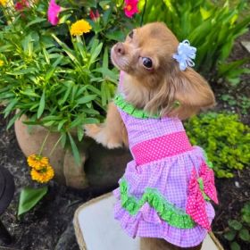 Watermelon Dog Dress. (size: Large)