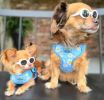 Wrap and Snap Choke Free Dog Harness