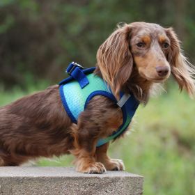 Polka Dot Choke‑Free Dog Harness – Step‑In Style (Color: Northern Lights, size: XXS)
