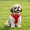 Polka Dot Choke‑Free Dog Harness – Step‑In Style