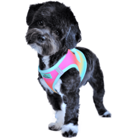 Polka Dot Choke‑Free Dog Harness – Step‑In Style (Color: Beach Party, size: XXS)