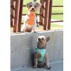 Polka Dot Choke‑Free Dog Harness – Step‑In Style