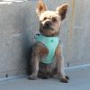 Polka Dot Choke‑Free Dog Harness – Step‑In Style