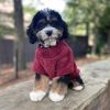 Soft Plush Dog Pullover Sweater