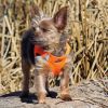 Polka Dot Choke‑Free Dog Harness – Step‑In Style