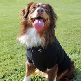 Polo Dog Shirt with Embroidered Collar (Color: Black, size: Medium)